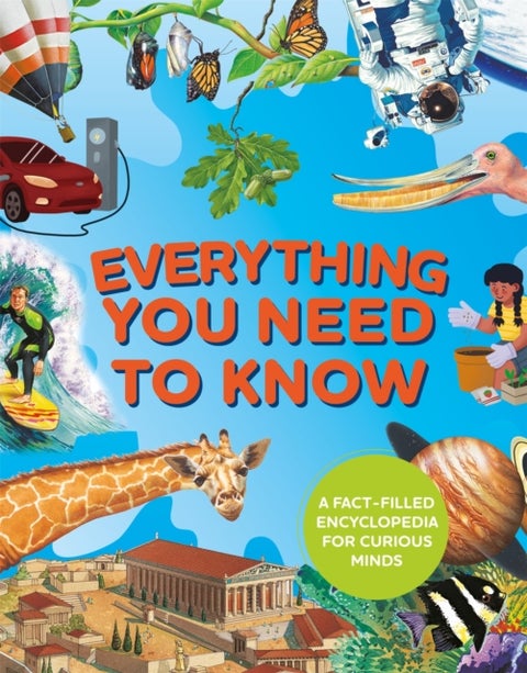 Everything You Need to Know - A fact-filled encyclopedia for curious minds