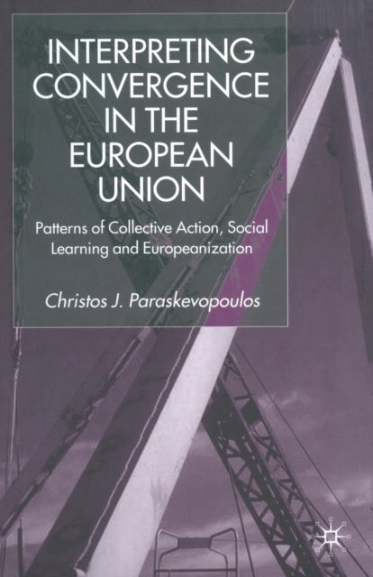 Interpreting Convergence in the European Union - Patterns of Collective Action, Social Learning and Europeanization