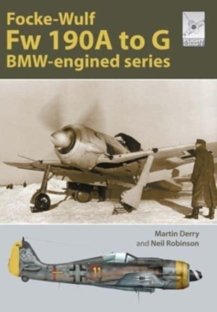 Flight Craft Special 2: The Focke-Wulf Fw 190 - The A-G Series