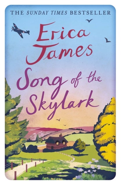 Song of the Skylark - A hugely uplifting and heartfelt tale of friendship and how the past affects who we become