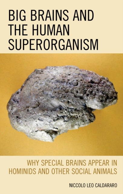 Big Brains and the Human Superorganism - Why Special Brains Appear in Hominids and Other Social Animals
