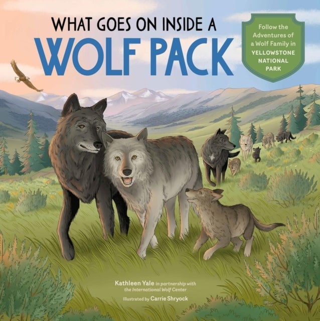 What Goes on Inside a Wolf Pack - Follow the Adventures of a Wolf Family in Yellowstone National Park