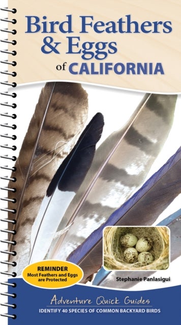 Bird Feathers & Eggs of California - Identify 40 Species of Common Backyard Birds
