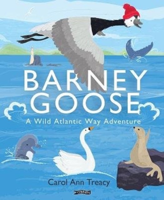 Barney Goose - A Wild Atlantic Way Adventure