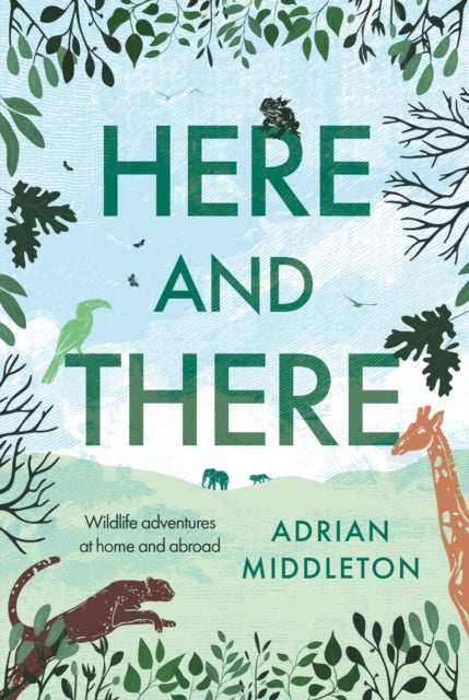 Here and There - Wildlife adventures at home and abroad