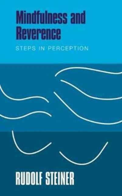 Mindfulness and Reverence - Steps in Perception