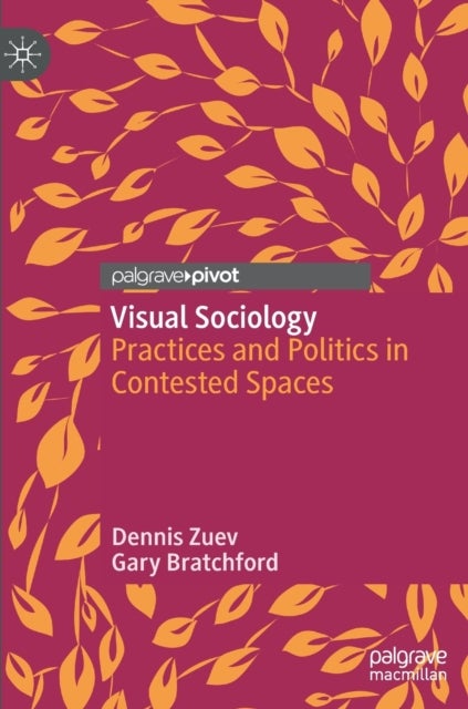 Visual Sociology - Practices and Politics in Contested Spaces