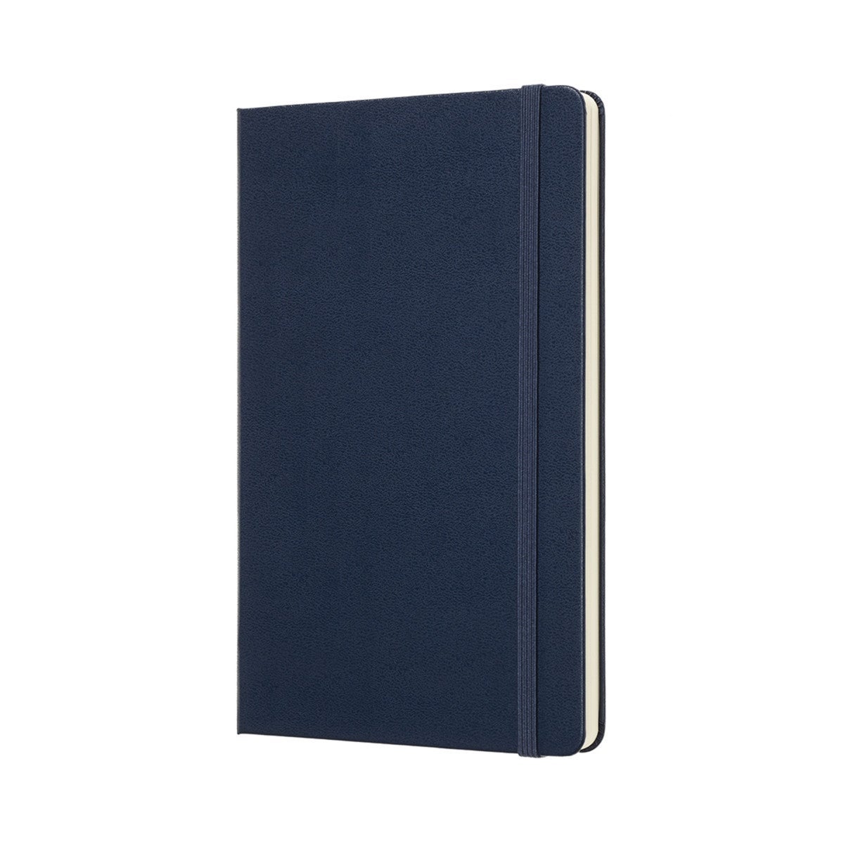 Notatbok Moleskine Large Prikker Blå Hard