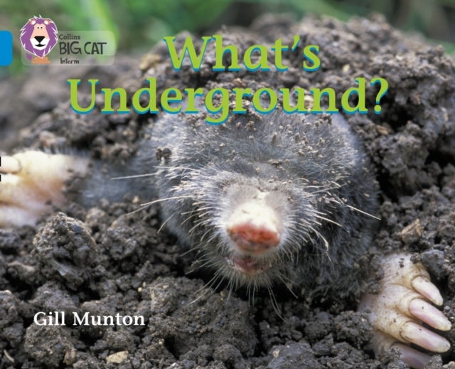 What¿s Underground - Band 04/Blue