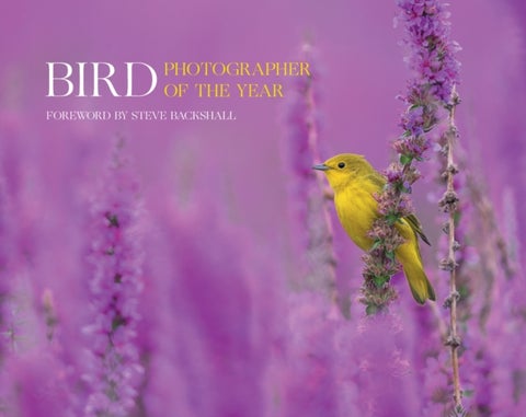 Bird Photographer of the Year - Collection 7
