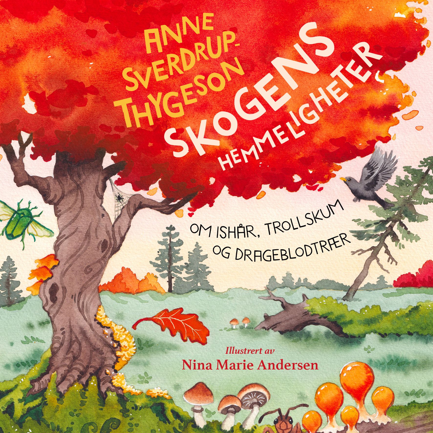 Skogens hemmeligheter - om ishår, trollskum og drageblodtrær