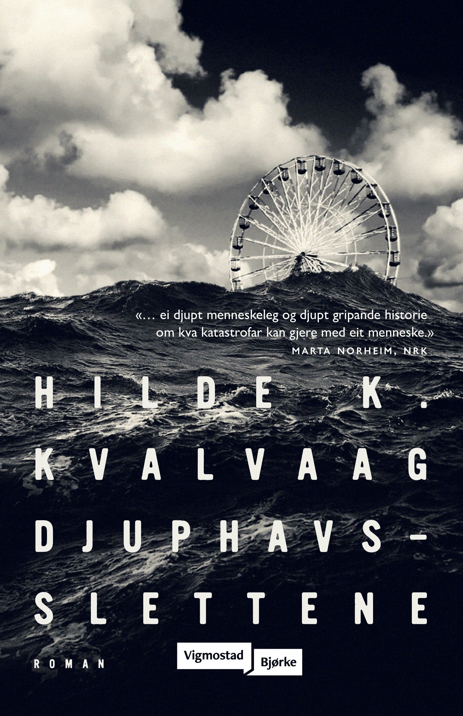 Djuphavsslettene - roman