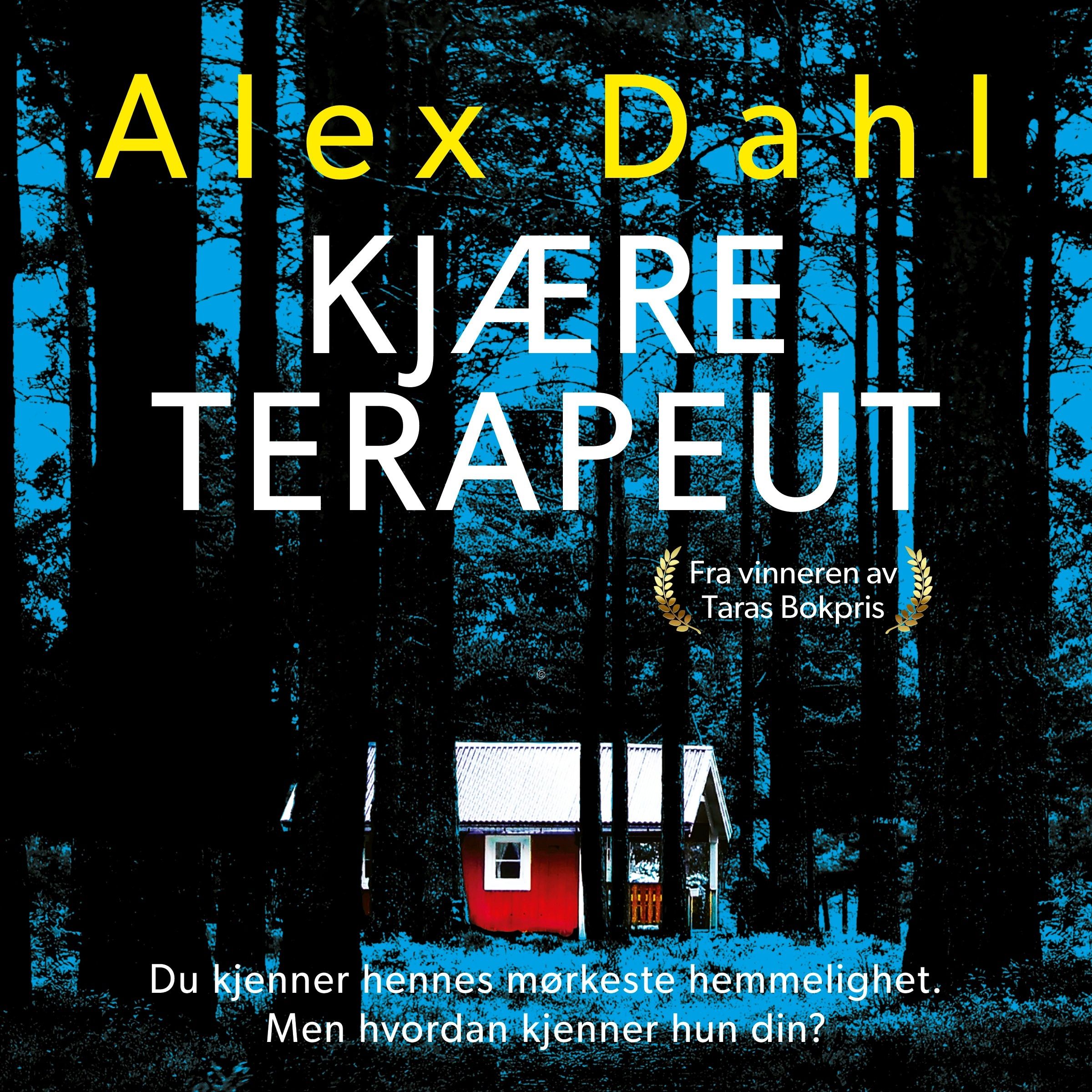 Kjære terapeut