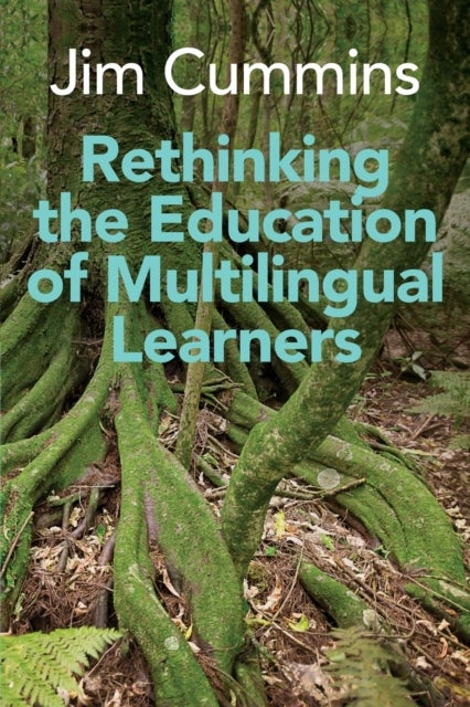 Rethinking the Education of Multilingual Learners - A Critical Analysis of Theoretical Concepts