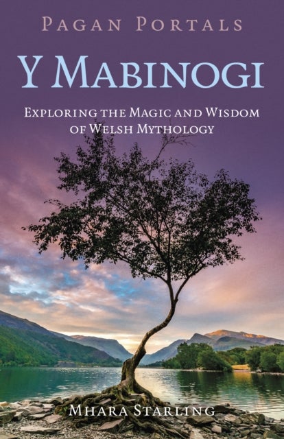 Pagan Portals Y Mabinogi - Exploring the Magic and Wisdom of Welsh Mythology