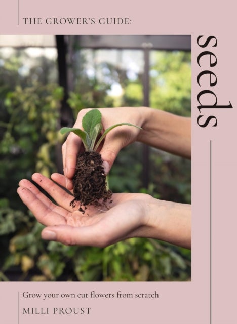Seeds - Grow Your Own Cut Flowers from Scratch