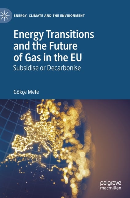 Energy Transitions and the Future of Gas in the EU - Subsidise or Decarbonise