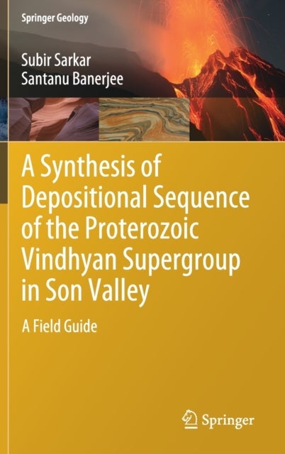 A Synthesis of Depositional Sequence of the Proterozoic Vindhyan Supergroup in Son Valley - A Field Guide