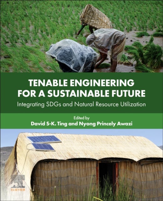 Tenable Engineering for a Sustainable Future - Integrating SDGs and Natural Resource Utilization