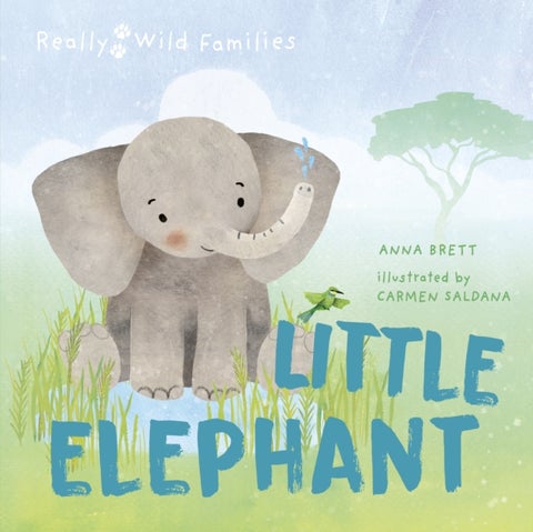 Little Elephant - A Day in the Life of a Elephant Calf