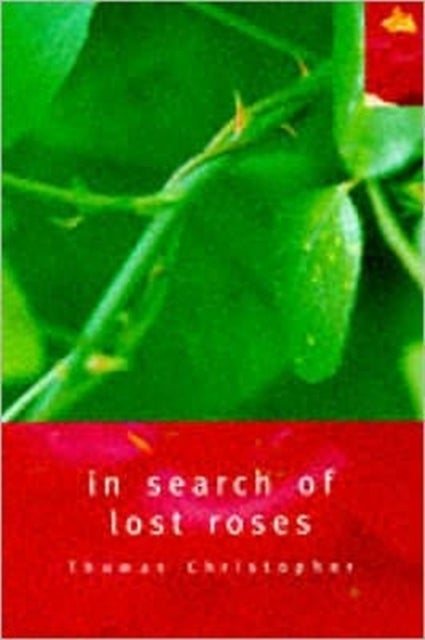 In Search of Lost Roses