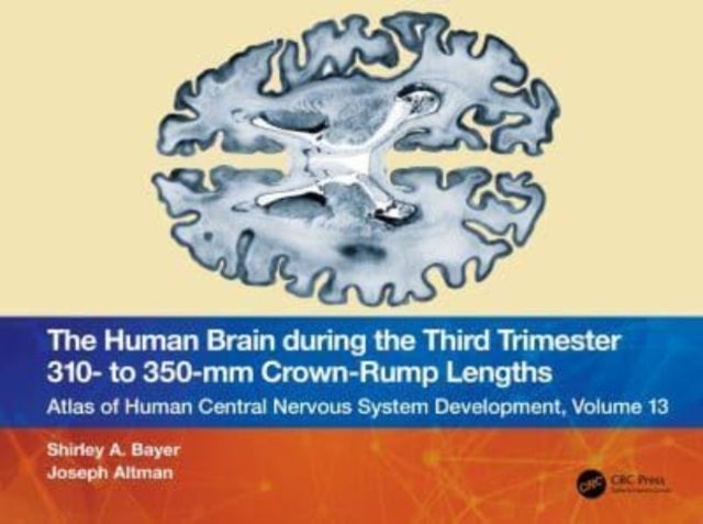 The Human Brain during the Third Trimester 310¿ to 350¿mm Crown-Rump Lengths - Atlas of Central Nervous System Development, Volume 13