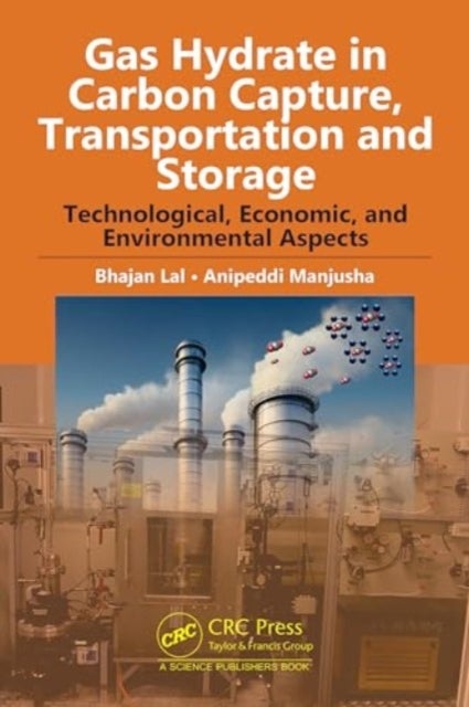 Gas Hydrate in Carbon Capture, Transportation and Storage - Technological, Economic, and Environmental Aspects