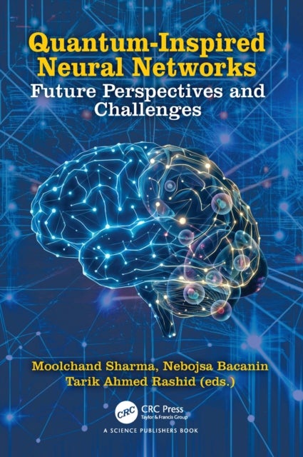 Quantum-Inspired Neural Networks - Future Perspectives and Challenges