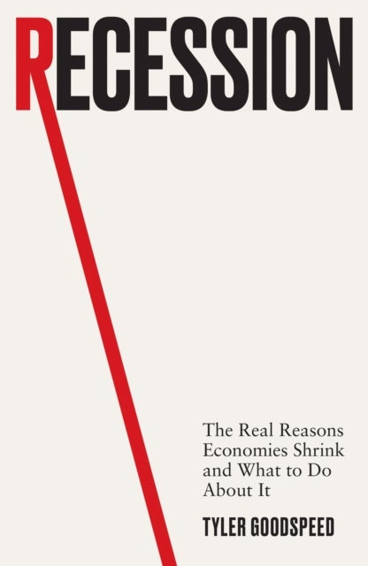 Recession - The Real Reasons Economies Shrink and What to Do About It