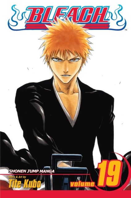 Bleach, Vol. 19 - The Black Moon Rising
