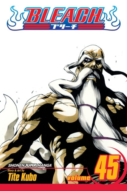 Bleach, Vol. 45 - The Burnout Inferno