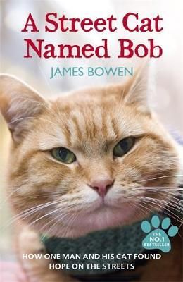 A Street Cat Named Bob - How one man and his cat found hope on the streets