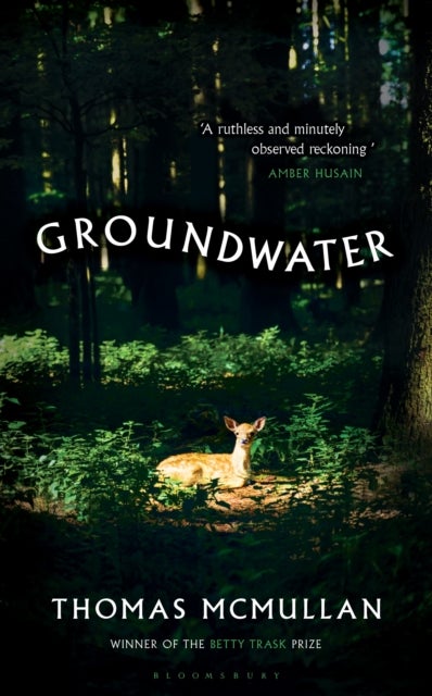 Groundwater - ‘Complex, chilling, masterful' Financial Times