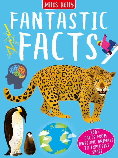 FANTASTIC FACTS HB