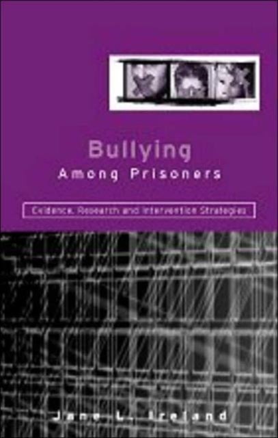 Bullying Among Prisoners - Evidence, Research and Intervention Strategies