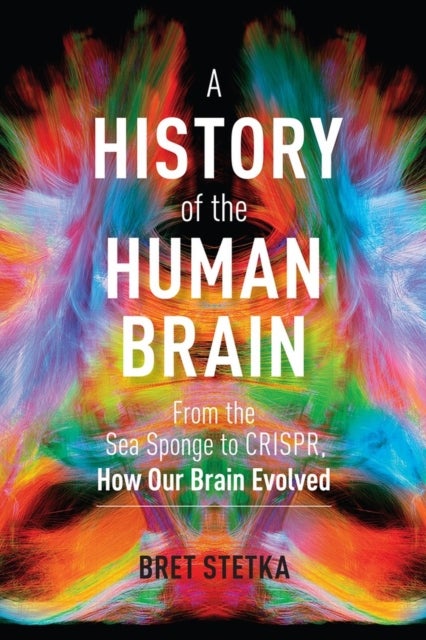 A History of the Human Brain - From the Sea Sponge to CRISPR, How Our Brain Evolved