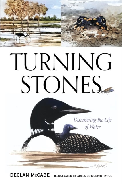 Turning Stones - Discovering the Life of Water
