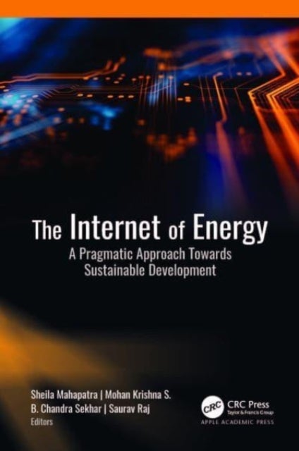 The Internet of Energy - A Pragmatic Approach Towards Sustainable Development