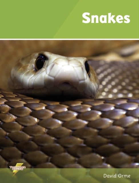 Snakes - Set 1