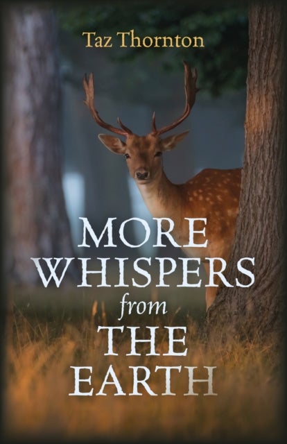 More Whispers from the Earth