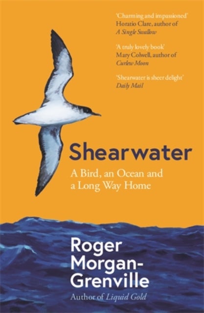 Shearwater - A Bird, an Ocean, and a Long Way Home