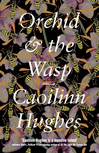 Orchid & the Wasp - 'This year’s Conversations with Friends' Irish Times