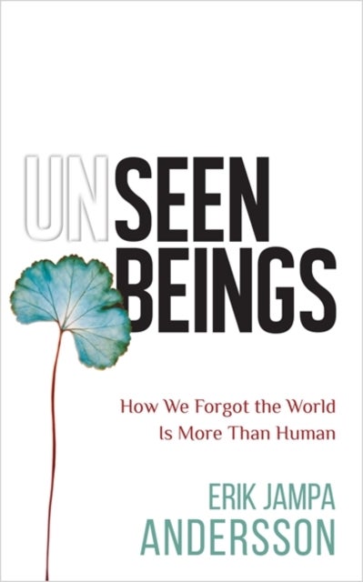 Unseen Beings - How We Forgot the World Is More Than Human