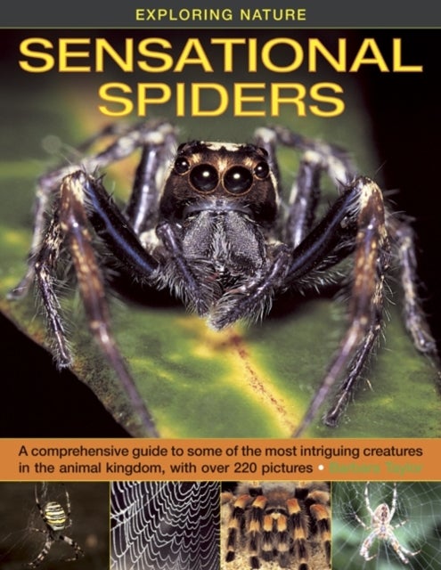 Exploring Nature - Sensational Spiders: A Comprehensive Guide to Some of the Most Intriguing Creatures in the Animal Kingdom, with Over 220 Pictures