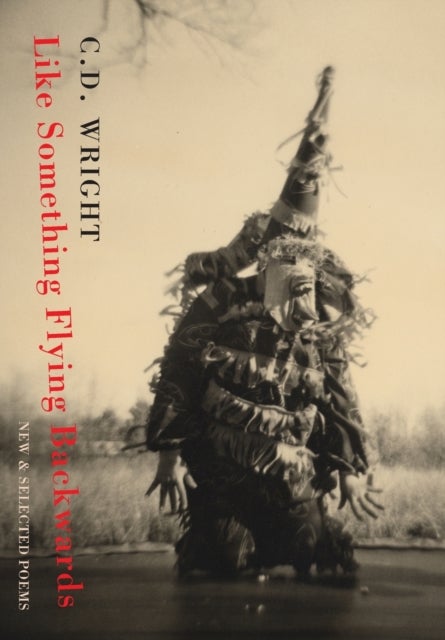 Like Something Flying Backwards - New and Selected Poems