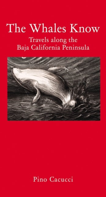The Whales Know - A Journey through Mexican California