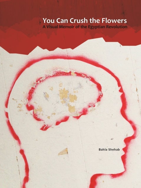 You Can Crush the Flowers - A Visual Memoir of the Egyptian Revolution