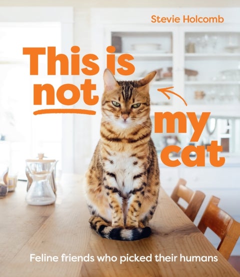 This is not my cat - Feline friends who picked their humans