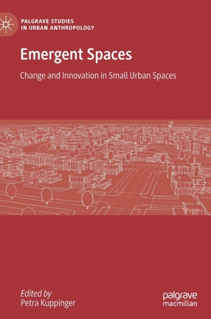 Emergent Spaces - Change and Innovation in Small Urban Spaces