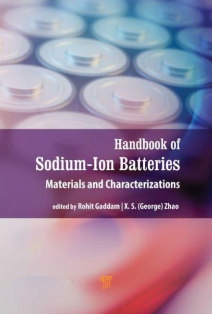 Handbook of Sodium-Ion Batteries - Materials and Characterization